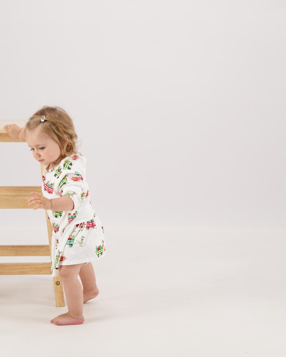 On the Farm Cart Tunic Dress