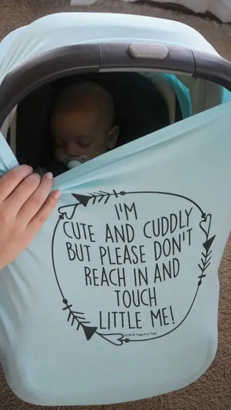 Blue Car Seat Cover