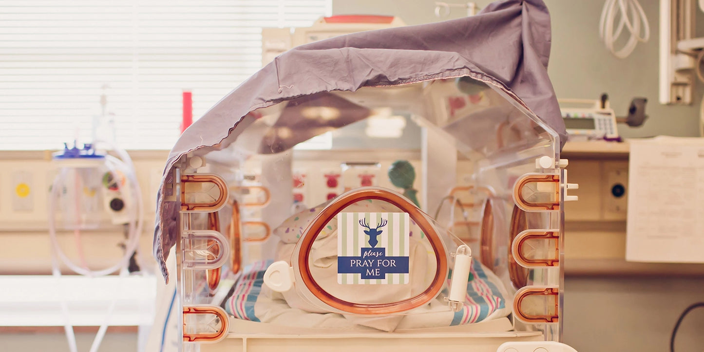 Boy NICU Milestone Cards