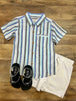 Blue Stripe Woven